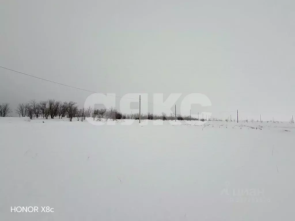 Участок в Волгоградская область, Городищенский район, Царицынское ... - Фото 2