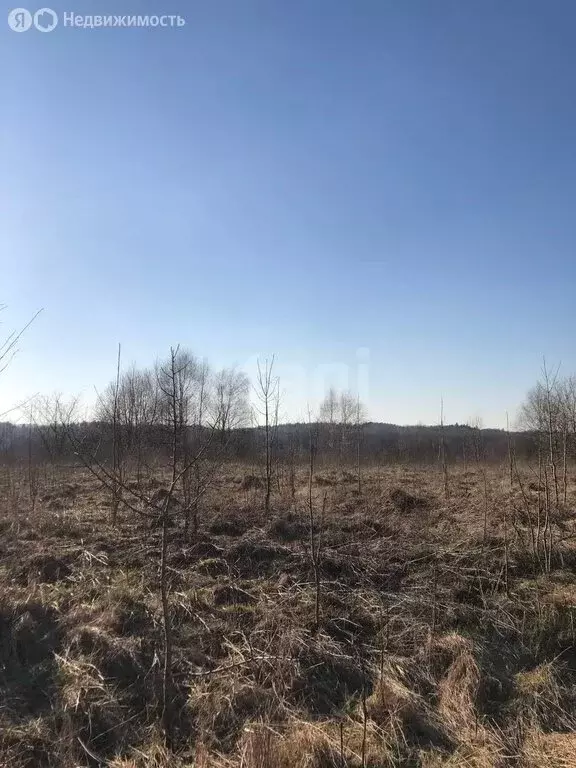 Участок в Калининградская область, Зеленоградский муниципальный округ, ... - Фото 1