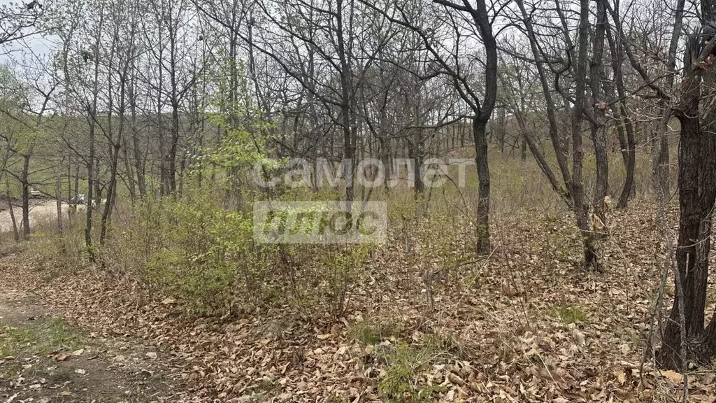 Участок в Приморский край, Находка Звезда СНТ, ул. Коперника (15.0 ... - Фото 2