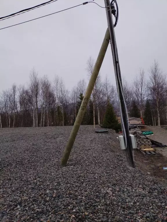 Участок в Мурманская область, Кольский район, Молочный городское ... - Фото 1