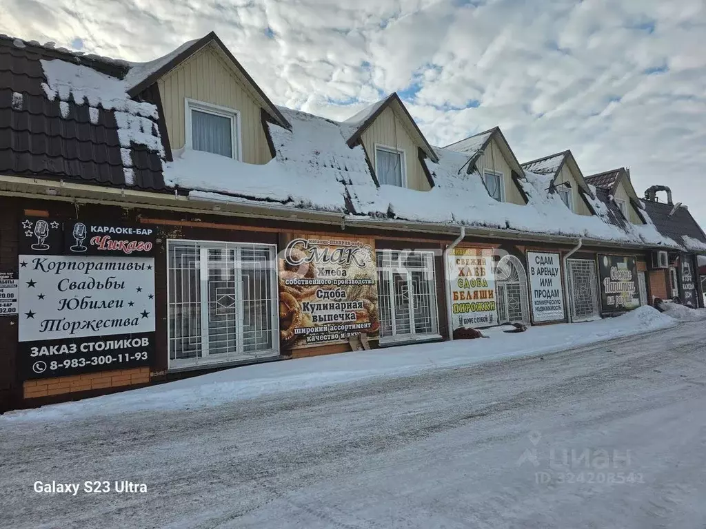 Помещение свободного назначения в Новосибирская область, Ордынский ... - Фото 1