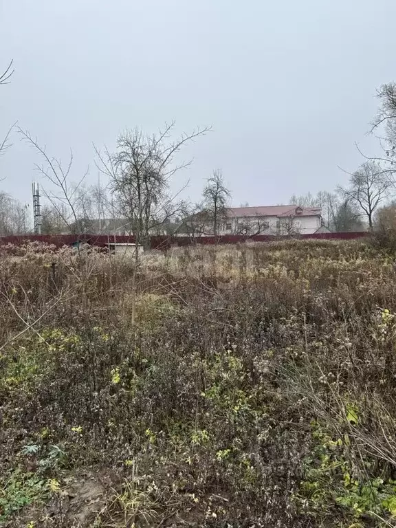 Участок в Калужская область, Дзержинский район, Совхоз Чкаловский ... - Фото 0