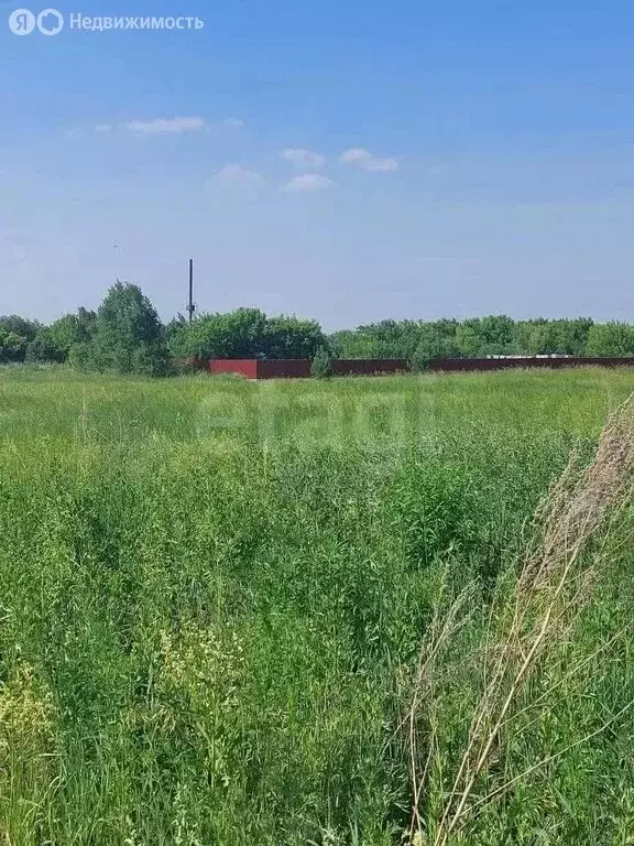 Участок в Бийский район, посёлок Семеновод, Школьная улица (12.5 м) - Фото 2