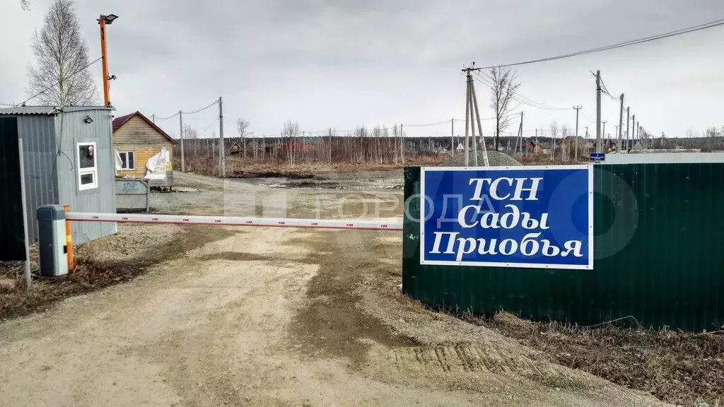 Участок 6 сот. (СНТ, ДНП) - Фото 0