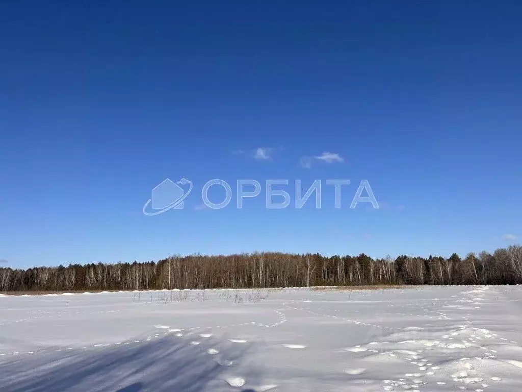 Участок в Тюменская область, Тюменский район, д. Посохова  (7.4 сот.) - Фото 1
