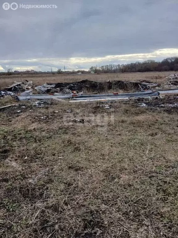 Участок в Курский район, Рышковский сельсовет, деревня Зорино (10 м) - Фото 0