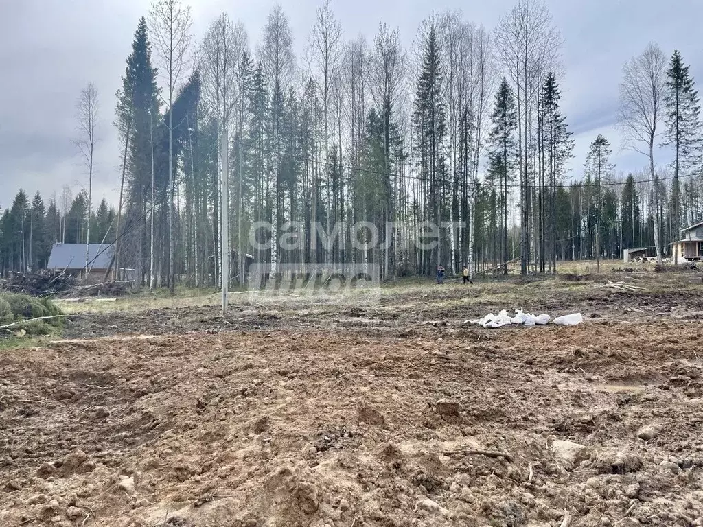 Участок в Коми, Сыктывкар ул. 12-я Линия (12.7 сот.) - Фото 2