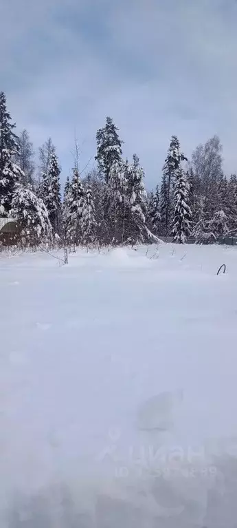 Участок в Московская область, Солнечногорск городской округ, ... - Фото 2