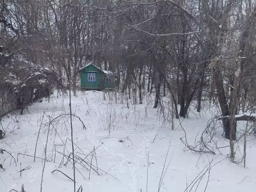 Участок в Белгородская область, Алексеевский муниципальный округ, ... - Фото 1