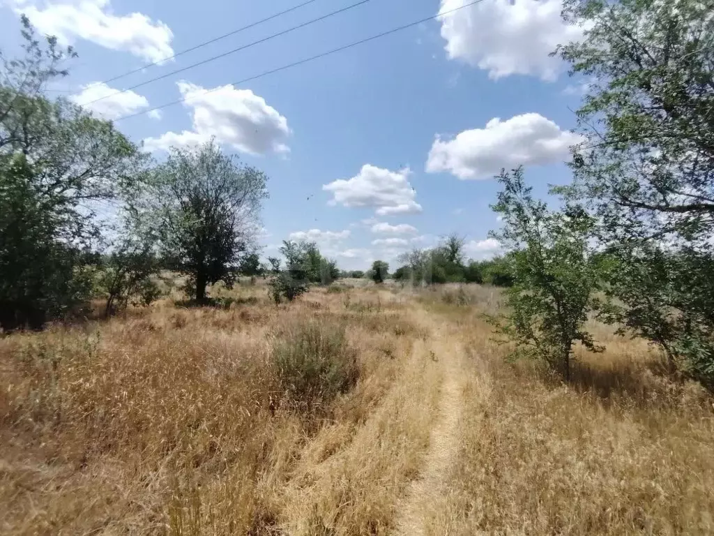 Участок в Ростовская область, Усть-Донецкий район, Мелиховская ст-ца ... - Фото 0