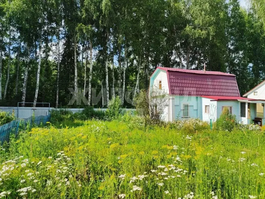 Дом в Новосибирская область, Мошковский район, Кадр-2 СНТ  (60 м) - Фото 2