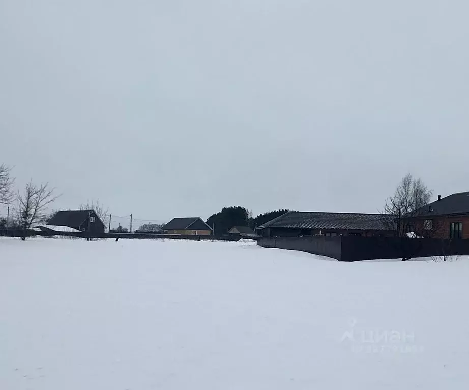 Участок в Московская область, Луховицы муниципальный округ, д. ... - Фото 1