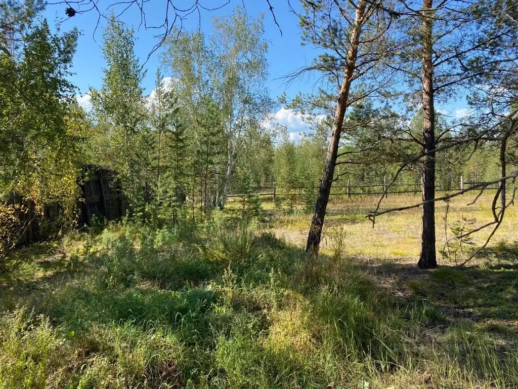 Участок в Саха (Якутия), Якутск городской округ, с. Маган  (12.0 сот.) - Фото 2