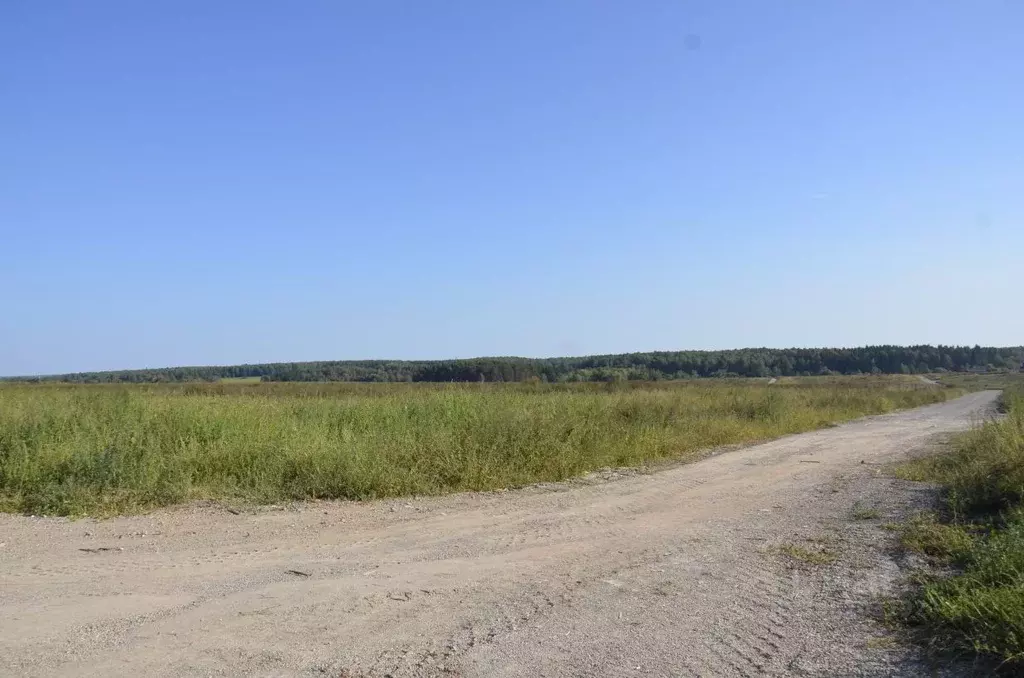 Участок в Московская область, Домодедово городской округ, д. Гальчино  ... - Фото 1