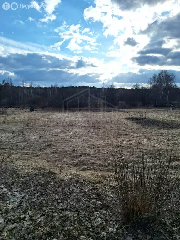 Участок в Сергиево-Посадский городской округ, деревня Бор (13 м) - Фото 0