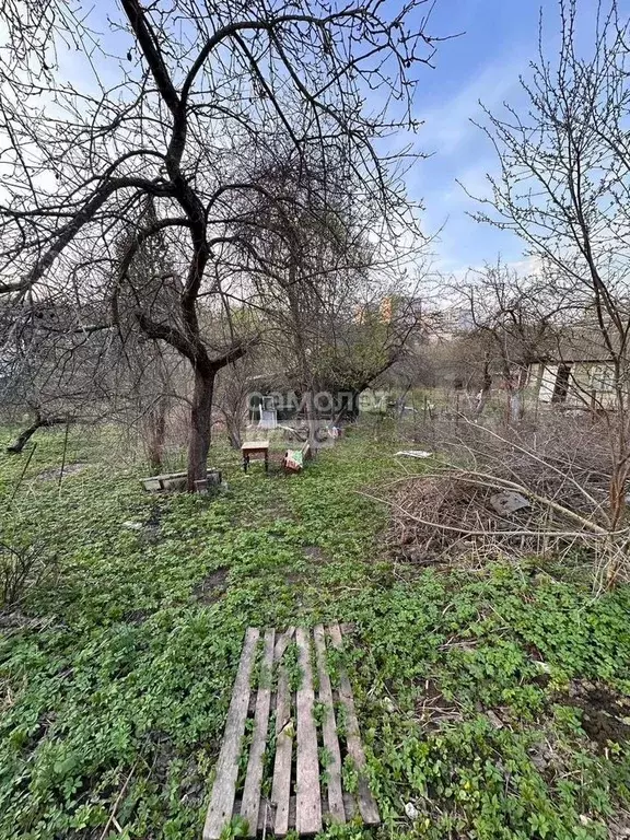 Участок 4 сот. (СНТ, ДНП) - Фото 1