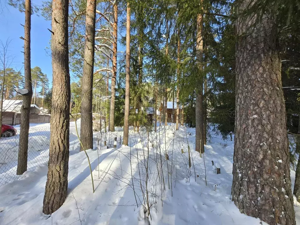 Дом в Ленинградская область, Гатчинский муниципальный округ, Вырица ... - Фото 2