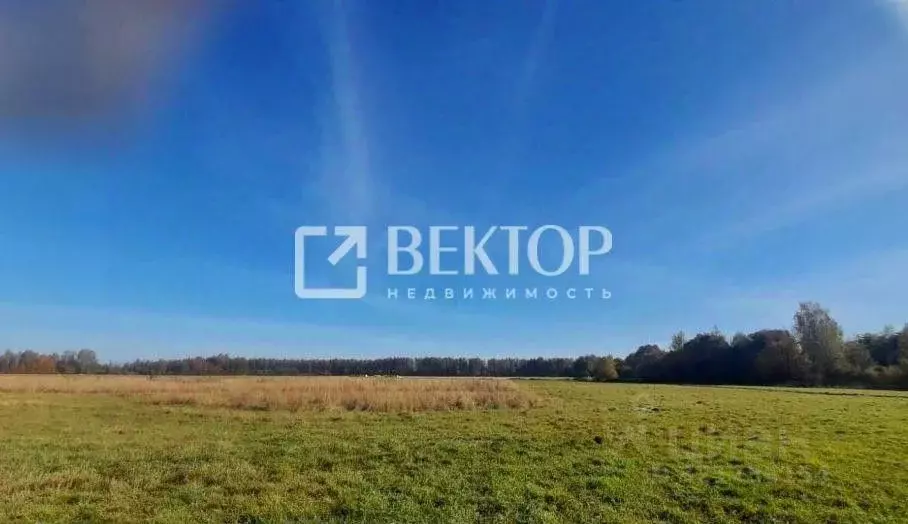 Участок в Костромская область, Красносельский район, Шолоховское ... - Фото 0