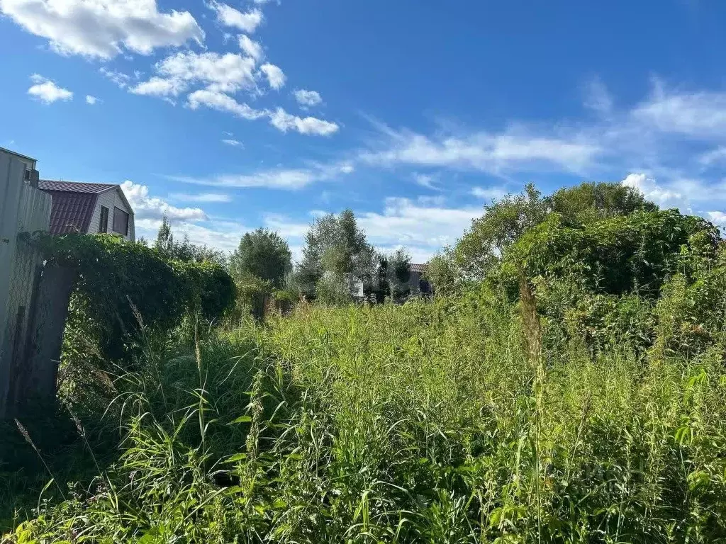 Участок в Московская область, Серпухов городской округ, Фенино СНТ  ... - Фото 1