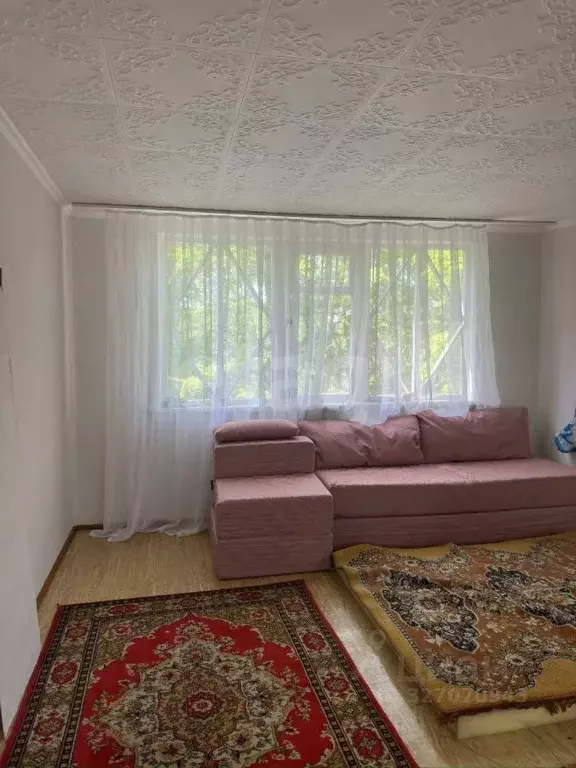 Дом в Камчатский край, Елизовский муниципальный округ, Росинка СНТ ул. ... - Фото 1