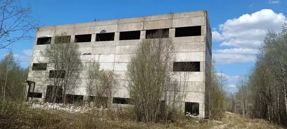 Склад в Ленинградская область, Кириши ш. Энтузиастов, 32 (3619 м) - Фото 1
