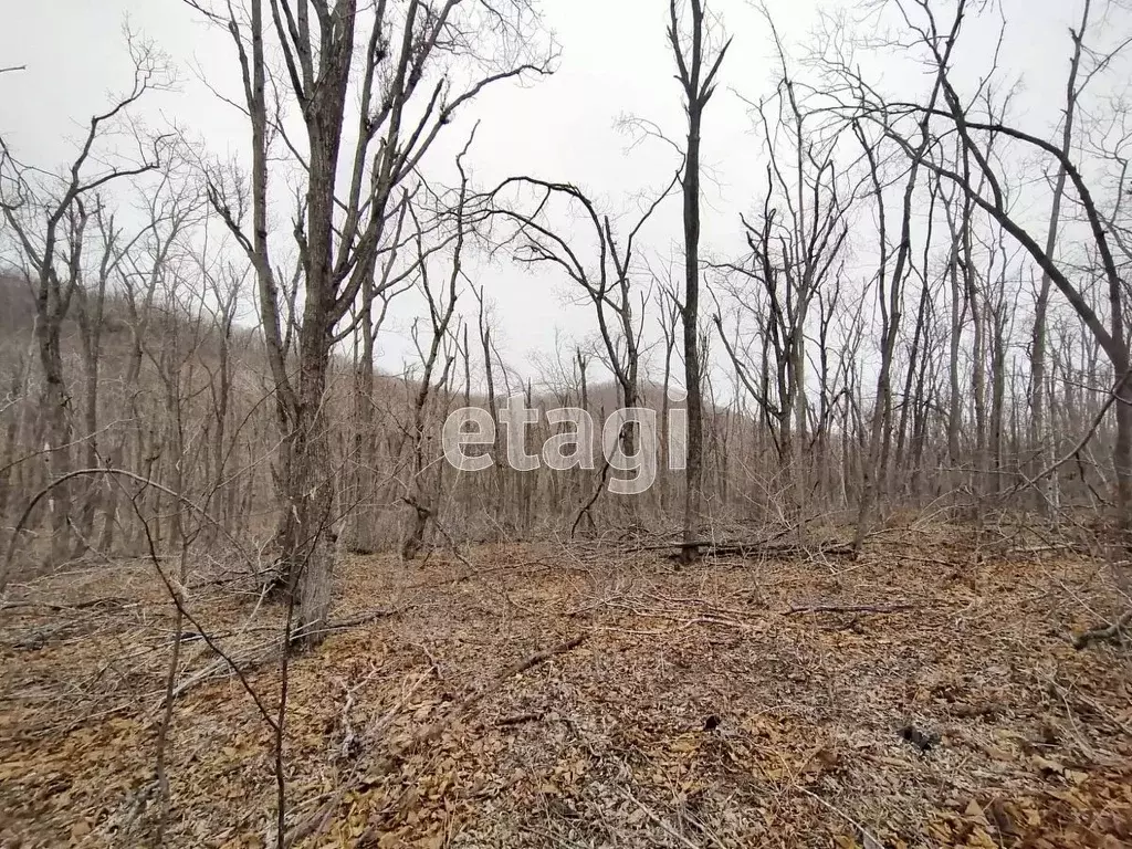 Участок в Приморский край, Владивосток Артековская ул. (12.49 сот.) - Фото 1