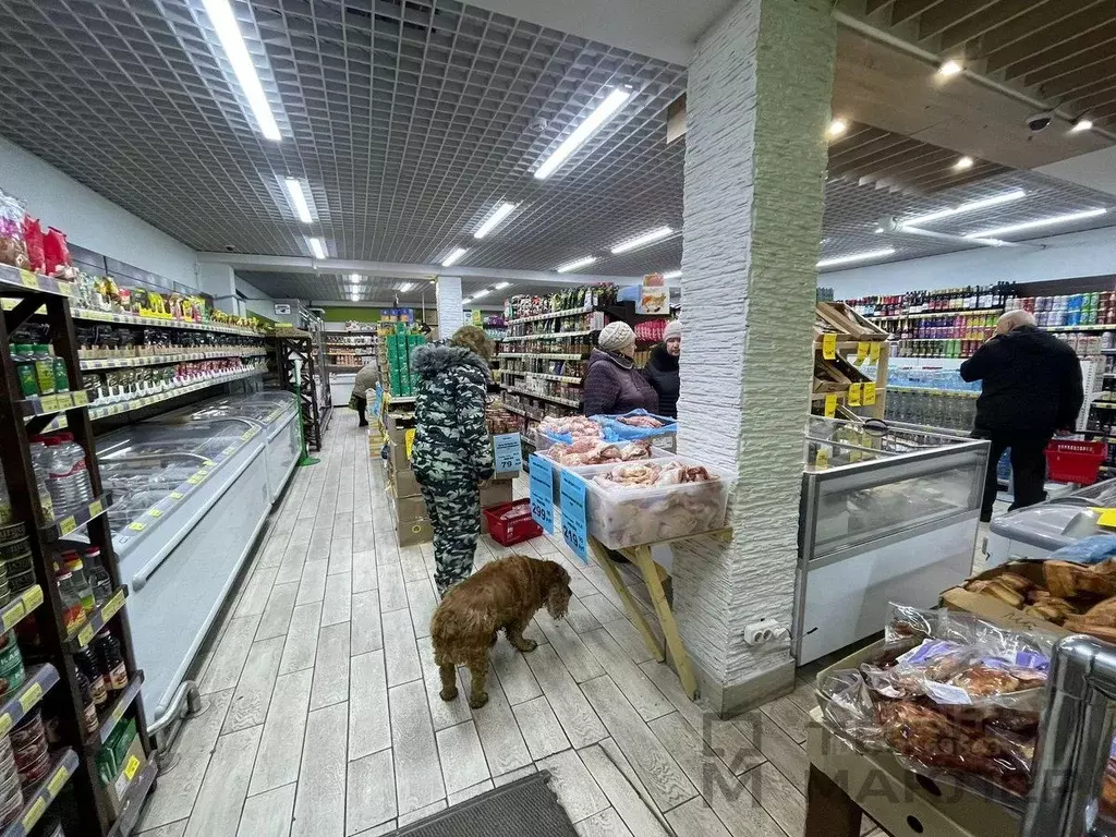 Торговая площадь в Пензенская область, Пенза ул. Бородина, 7 (213 м) - Фото 0