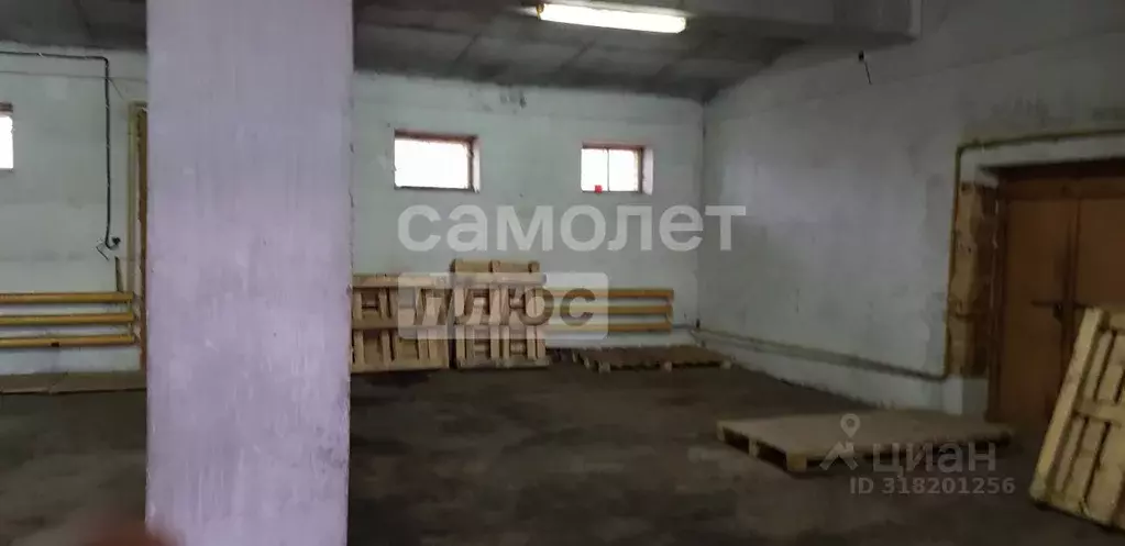 Склад в Алтайский край, Барнаул Молодежная ул., 172 (129 м) - Фото 1