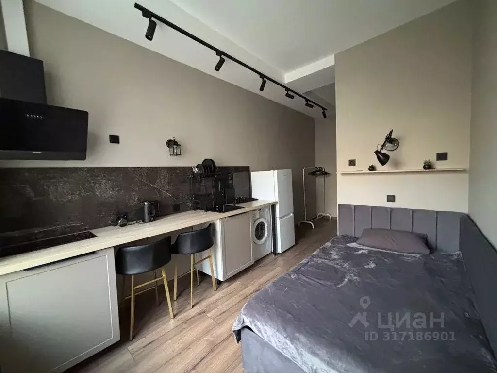 Студия Санкт-Петербург Московский просп., 163К2 (17.0 м) - Фото 0