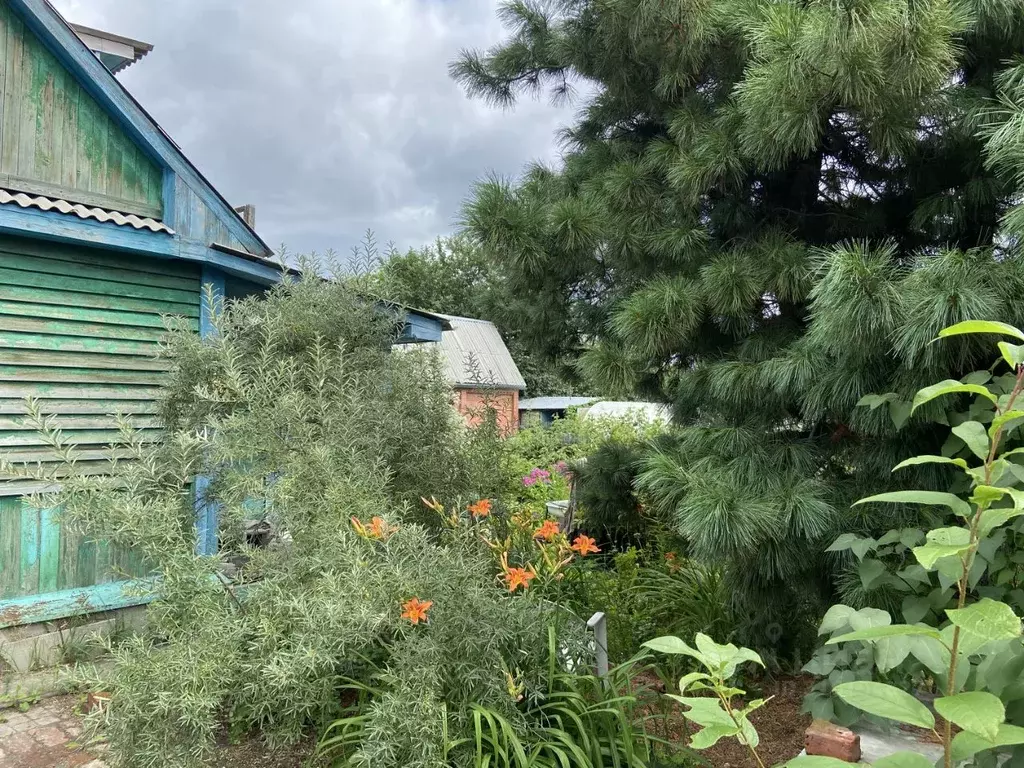 Дом в Омская область, Омск Рассвет СНТ, 538 (24 м) - Фото 1