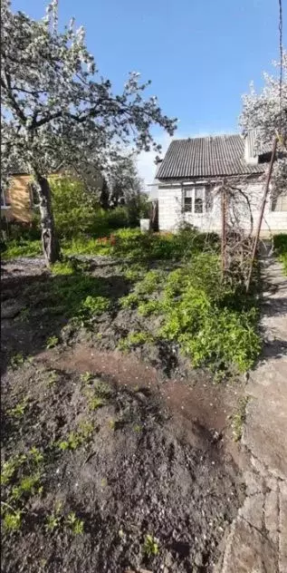 Дом в Калининградская область, Калининград пос. Лермонтовский, ул. ... - Фото 1