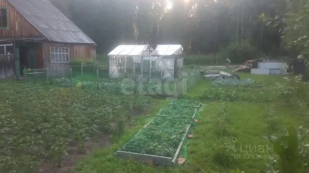 Участок в Томская область, Томский район, д. Кисловка, Огонек садовое ... - Фото 2