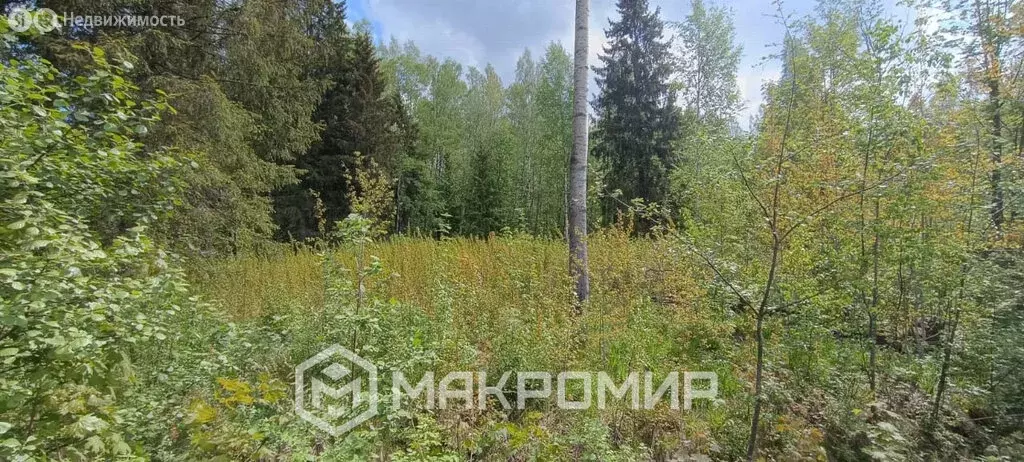 Участок в Рахьинское городское поселение, СНТ Василек (12 м) - Фото 0