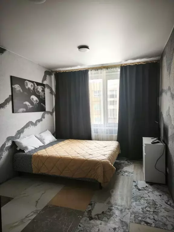 Студия Ленинградская область, Всеволожск Степной просп., 16к5 (20.0 м) - Фото 1