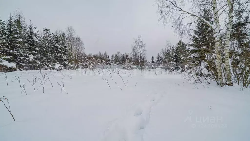 Участок в Московская область, Наро-Фоминский городской округ, Лира-92 ... - Фото 2