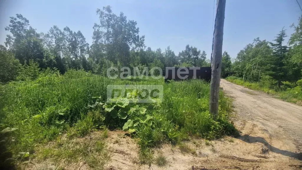 Участок в Сахалинская область, Южно-Сахалинск Дельфин СНТ, 31 (6.5 ... - Фото 1