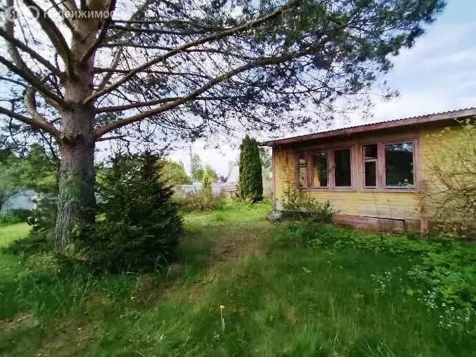 Дом в Богородский городской округ, СНТ Луговина (40 м) - Фото 2