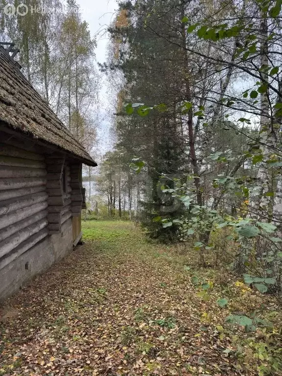 Дом в Псковская область, сельское поселение Себежское, деревня ... - Фото 2