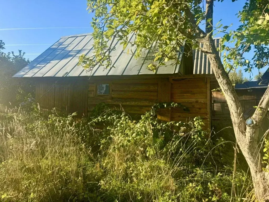 Участок в Ленинградская область, Лужский район, Мшинское с/пос, ... - Фото 1