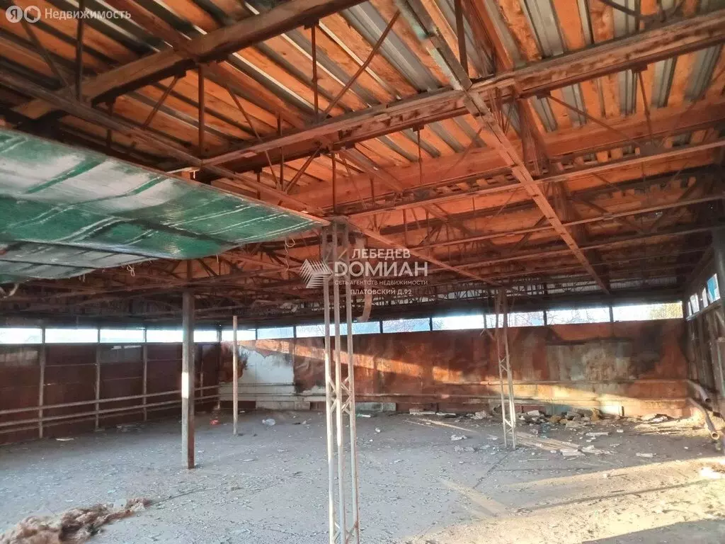 Помещение свободного назначения (244 м) - Фото 2