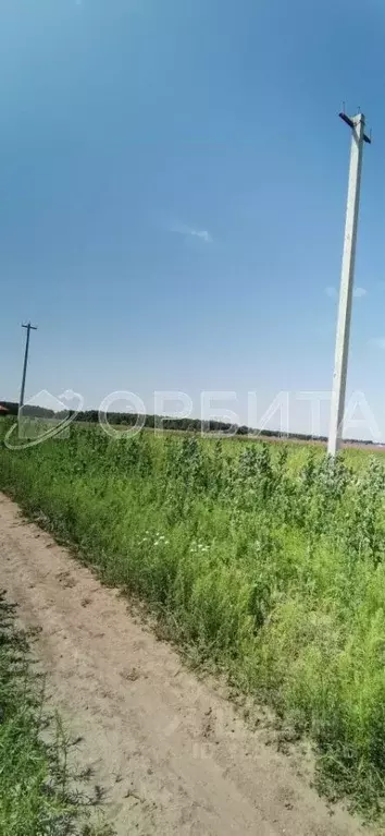 Участок в Тюменская область, Тюменский муниципальный округ, Соловьиная ... - Фото 2