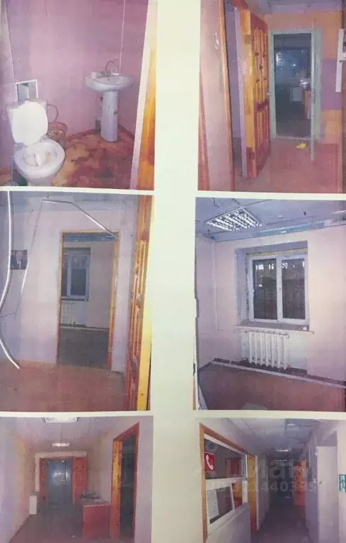 Помещение свободного назначения в Липецкая область, Липецк ул. ... - Фото 0