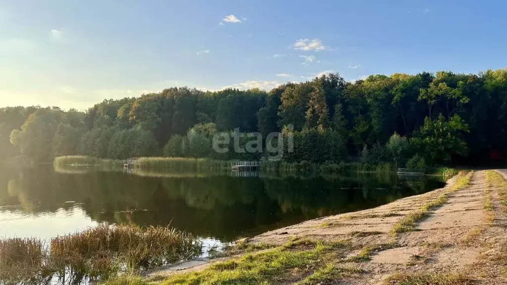 Участок в Мордовия, Саранск городской округ, Николаевка рп ул. ... - Фото 0