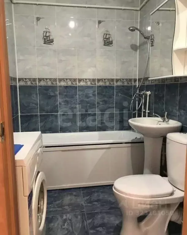 Студия Алтай, Майминский район, с. Майма ул. Березовая роща (35.0 м) - Фото 1