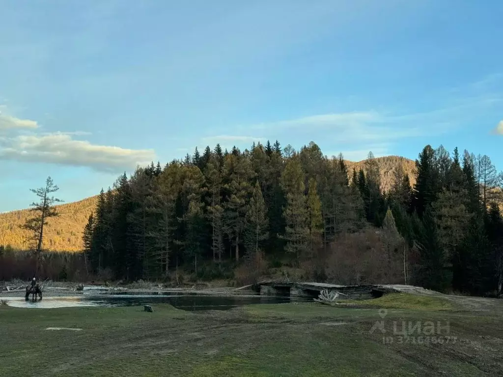 Участок в Алтай, Усть-Коксинский район, с. Банное  (32.0 сот.) - Фото 2