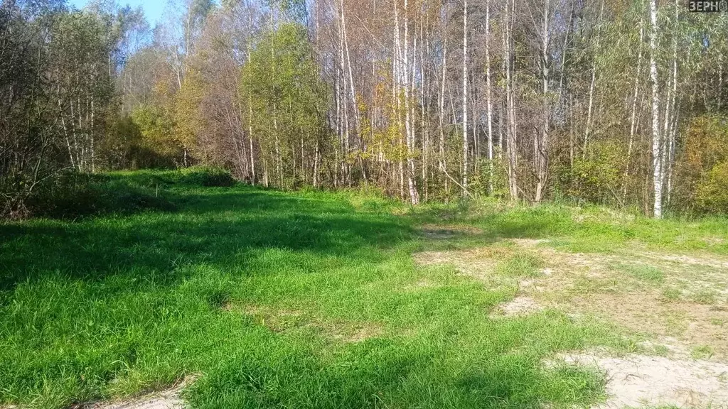 Участок в Ярославская область, Ярославский муниципальный округ, д. ... - Фото 1