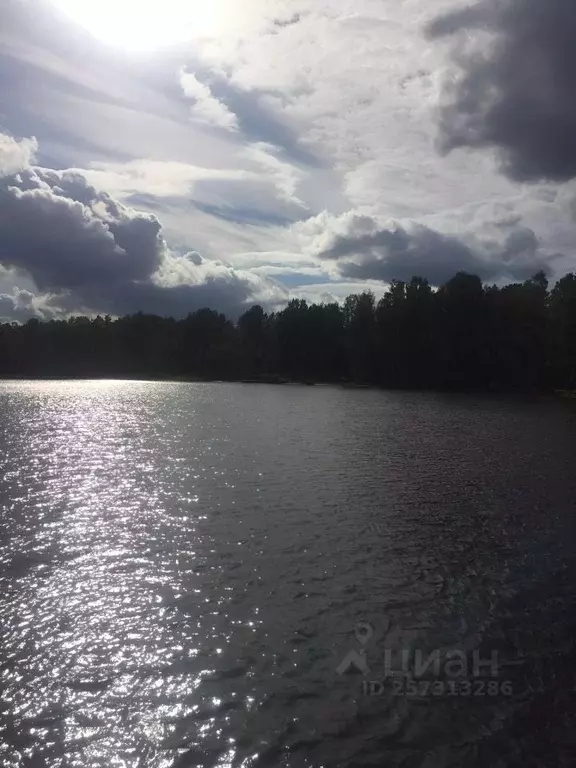 Коттедж в Ленинградская область, Всеволожский район, Куйвозовское ... - Фото 2