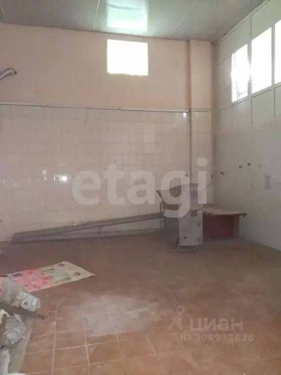 Склад в Брянская область, Погар рп ул. 1-й Квартал (1730 м) - Фото 2