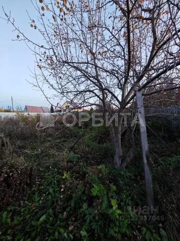 Участок в Тюменская область, Тюмень СОСН Янтарь тер., ул. Полевая (6.7 ... - Фото 1