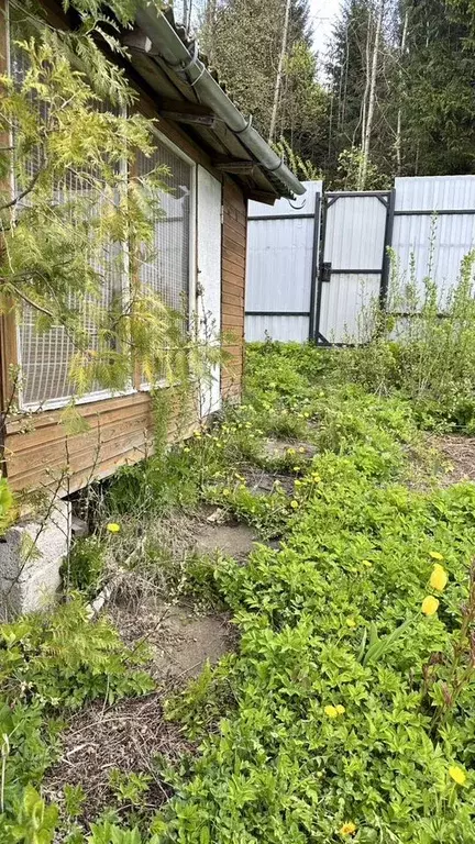 Дом 37 м на участке 6,8 сот. - Фото 0